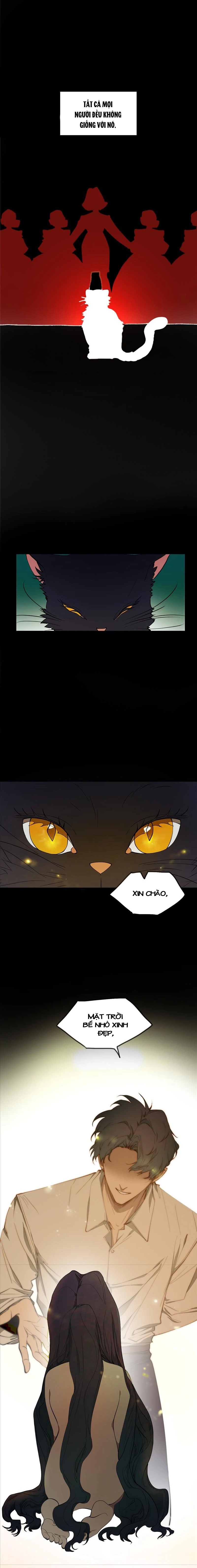 Truyện cổ tích trong lòng mèo Chapter 0 - 11