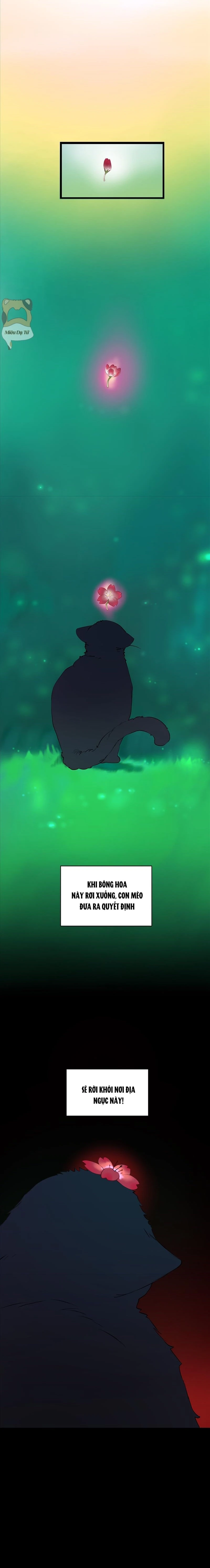 Truyện cổ tích trong lòng mèo Chapter 0 - 12