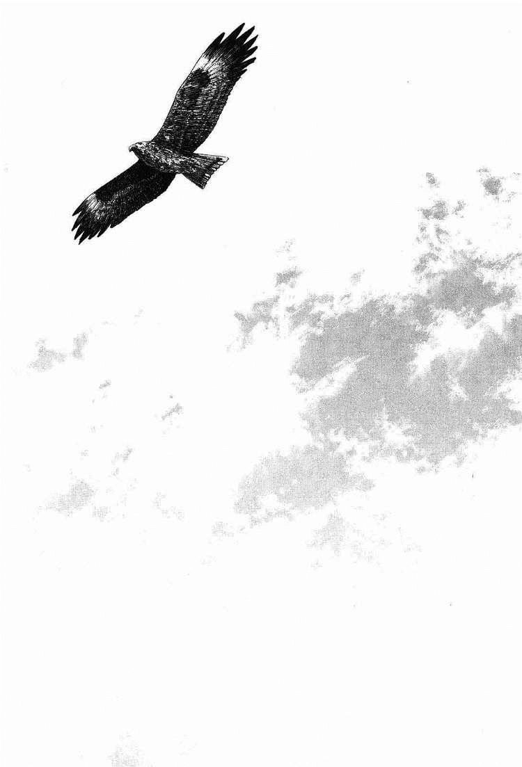 Lãng Khách Chapter 275 - 11