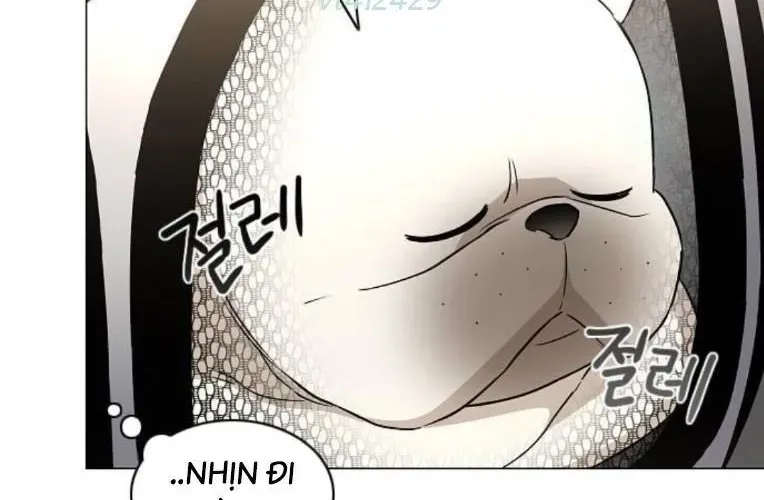 Kiếm vương Chapter 70 - 188