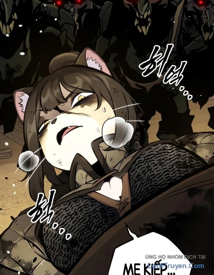 Kỵ Sĩ Lang Thang Chapter 50 - 148