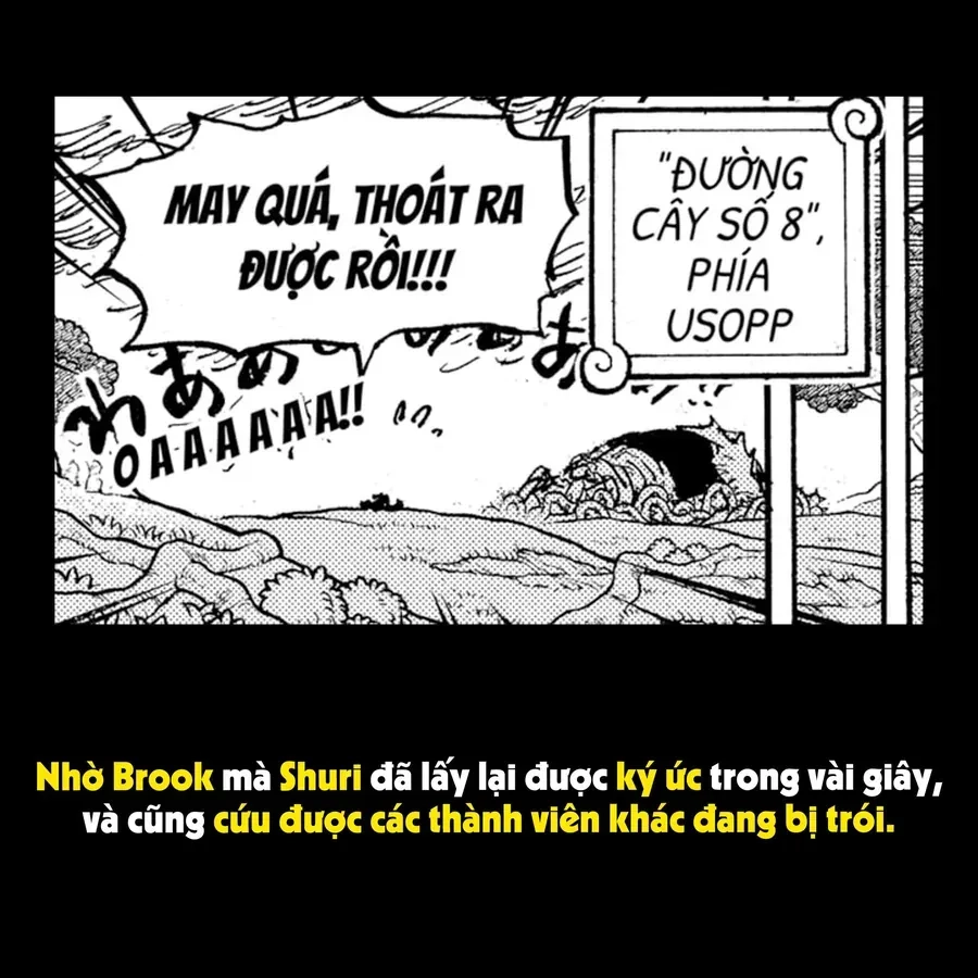 One Piece Chapter 1173.1 - 42