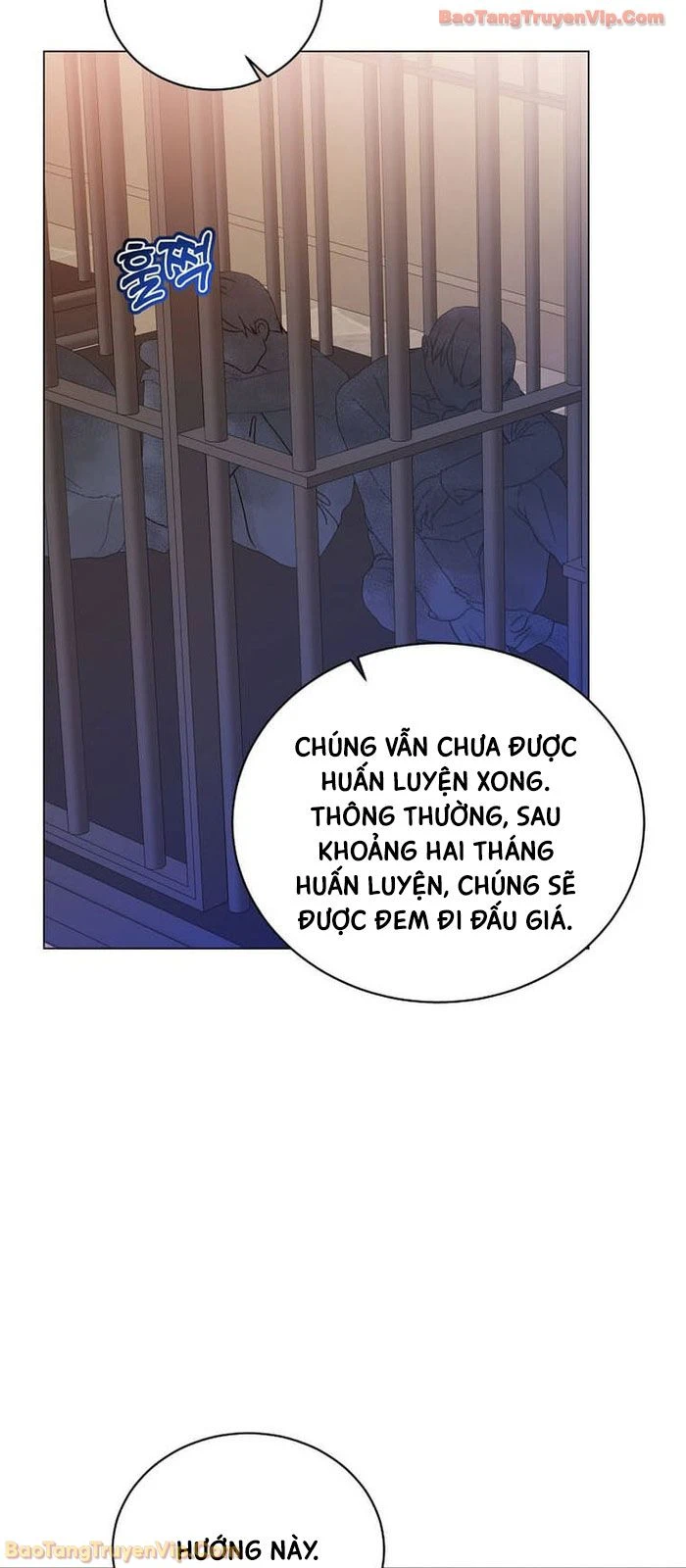 Anh Hùng Mạnh Nhất Trở Lại Chapter 233 - 24