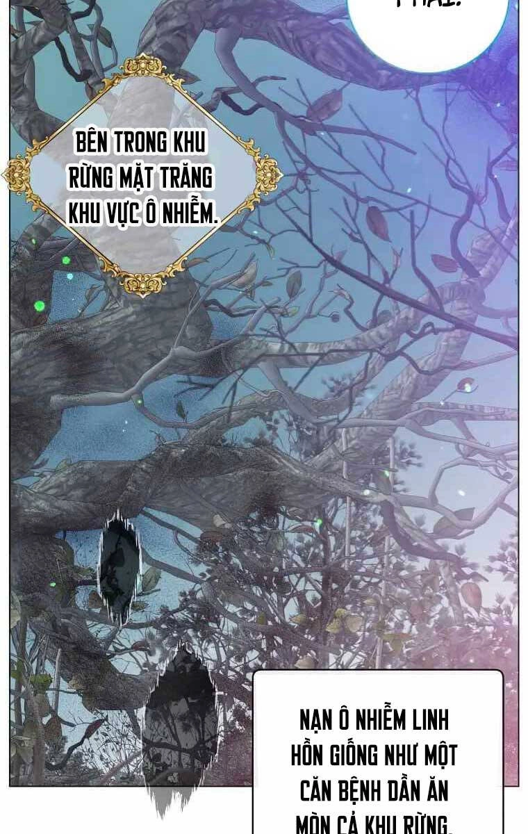 Anh Hùng Mạnh Nhất Trở Lại Chapter 134 - 12