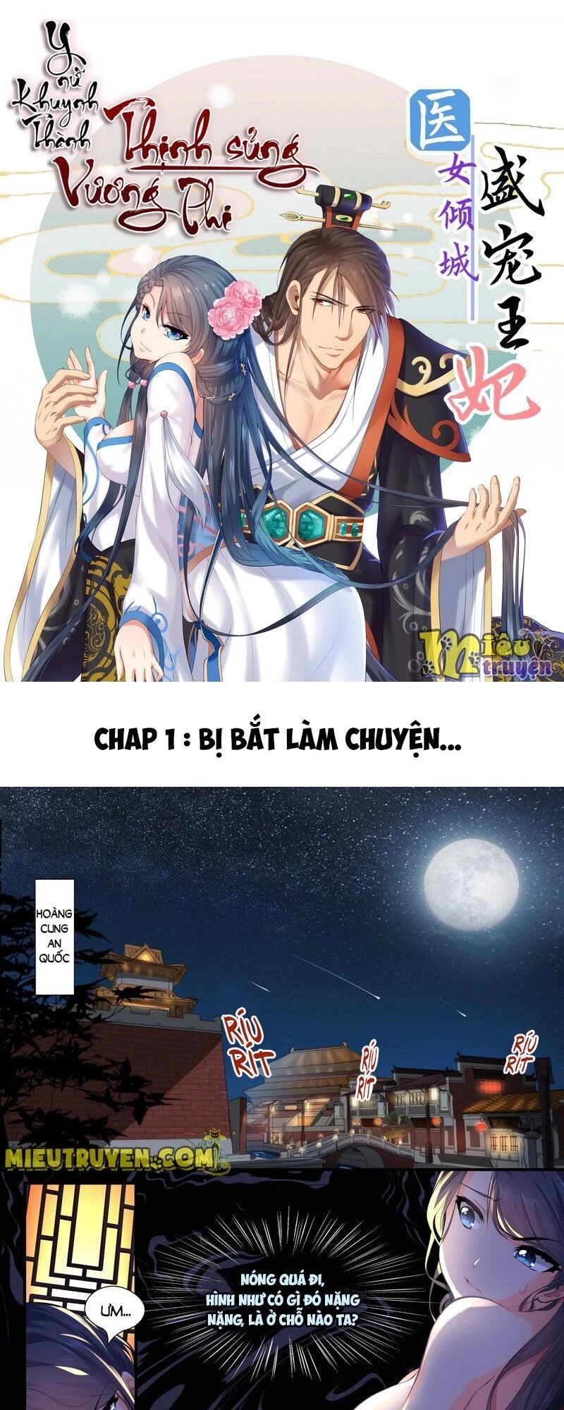 Y Nữ Khuynh Thành - Thịnh Sủng Vương Phi Chapter 1 - 1