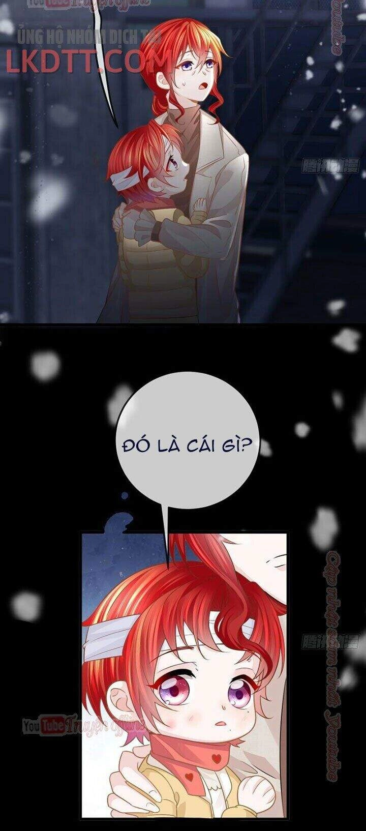 Đứa Trẻ Có 5 Daddy Chapter 8 - 29