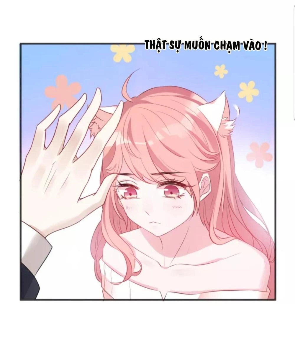 Bảo Bối Đáng Yêu Đột Kích Chapter 6 - 11