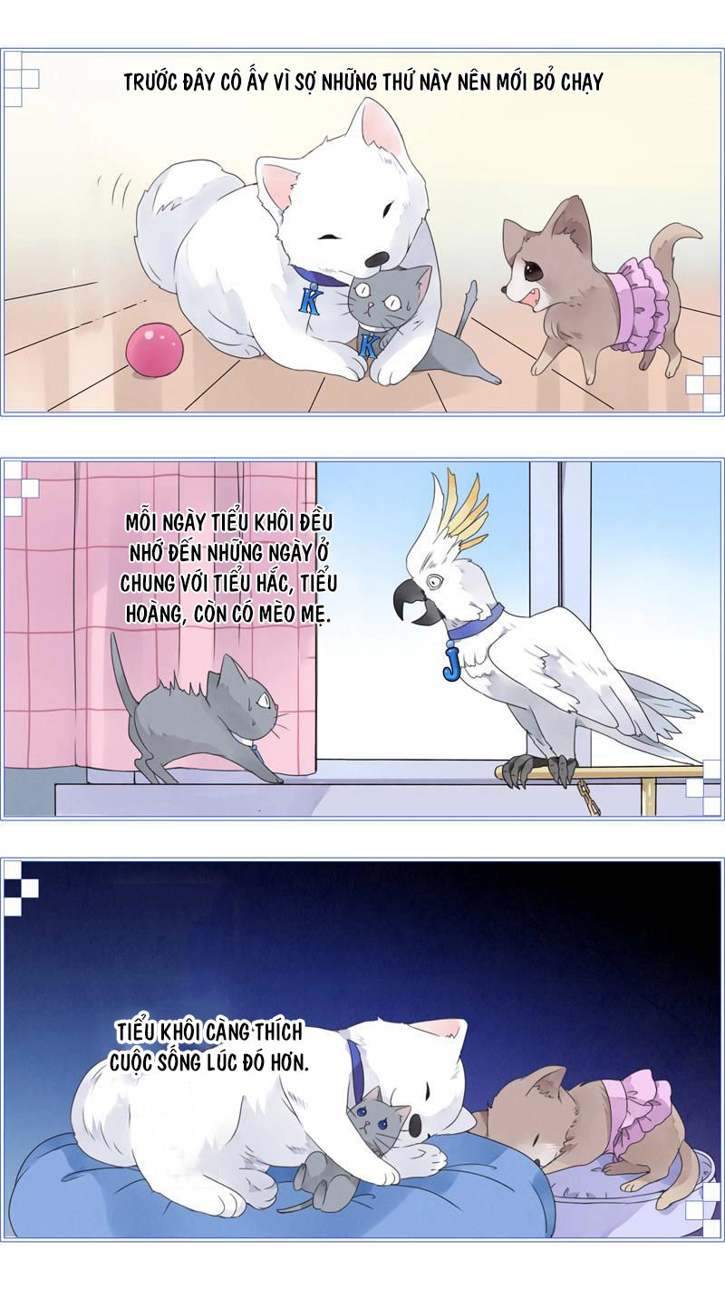 Lam Sí Chapter 196 - 10