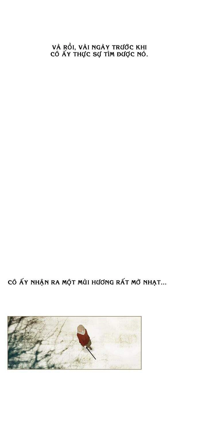 Rừng Đông Chapter 12 - 9