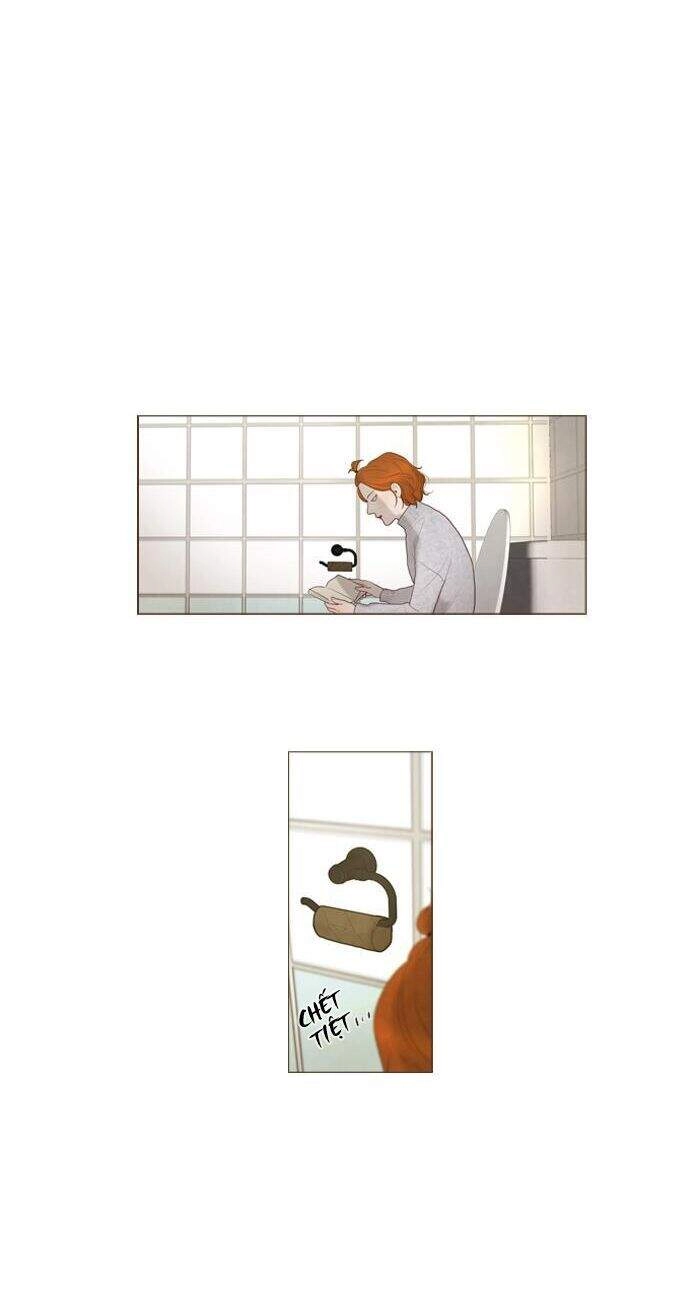 Rừng Đông Chapter 19 - 5