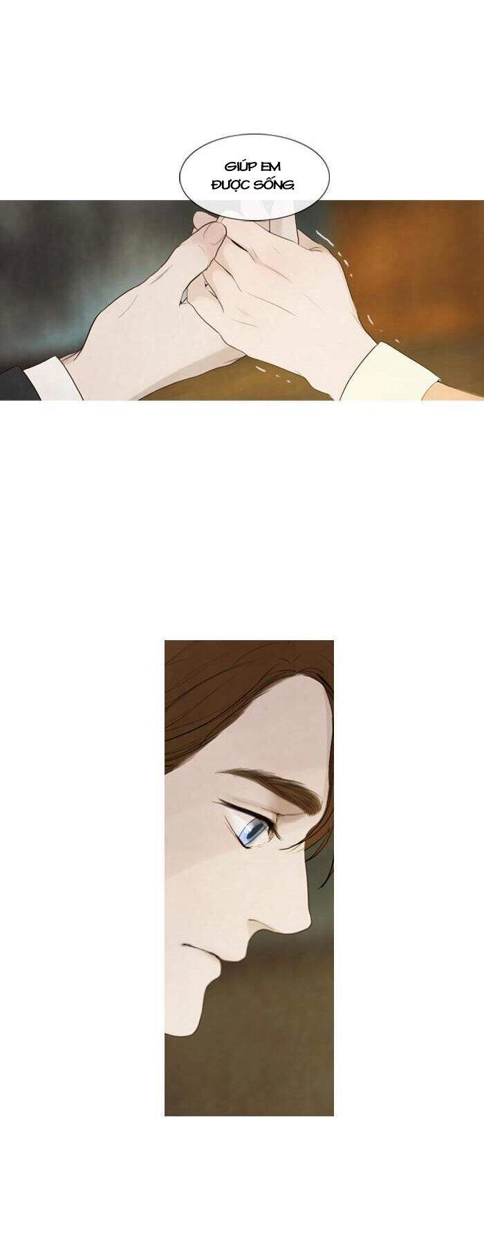 Rừng Đông Chapter 48 - 26