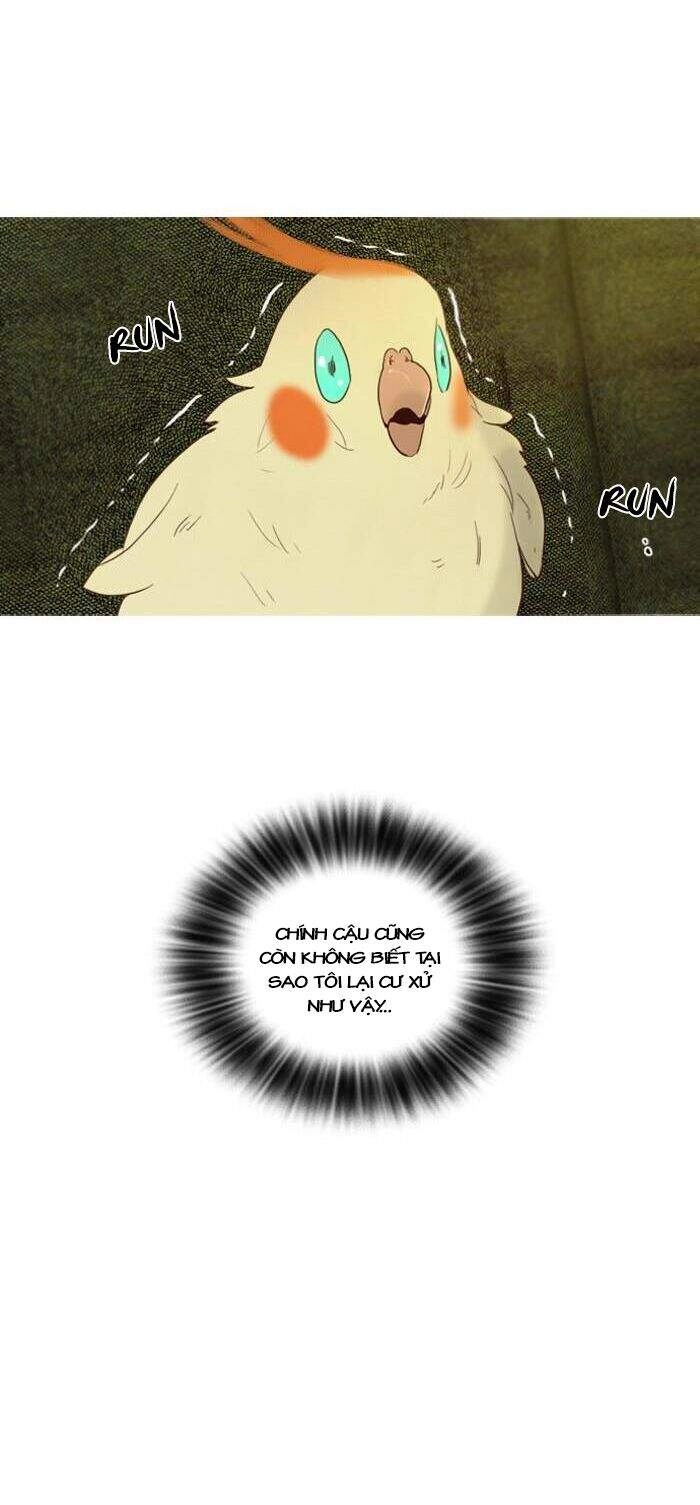 Rừng Đông Chapter 50 - 29