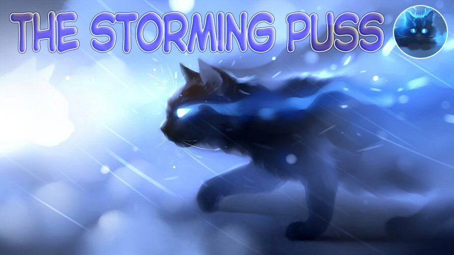 High Risk Mission Therapy Chapter 41 - 2