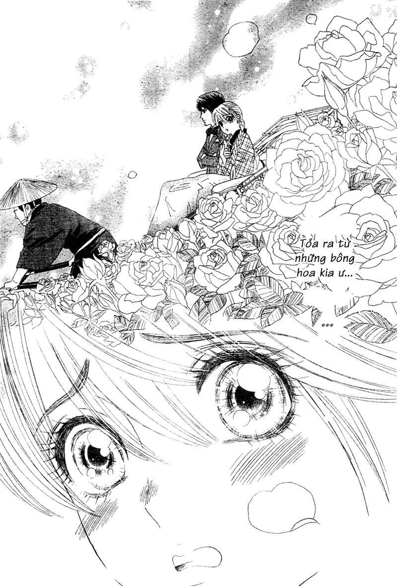 Hoa Hồng Đỏ Chapter 1 - 46