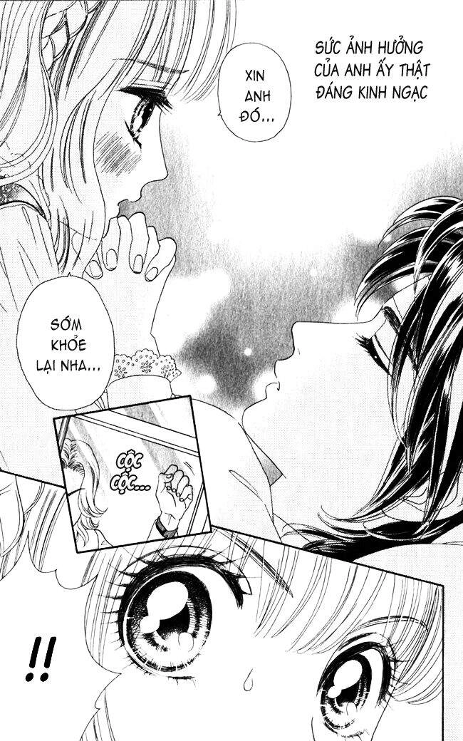 Hoa Hồng Đỏ Chapter 15 - 15