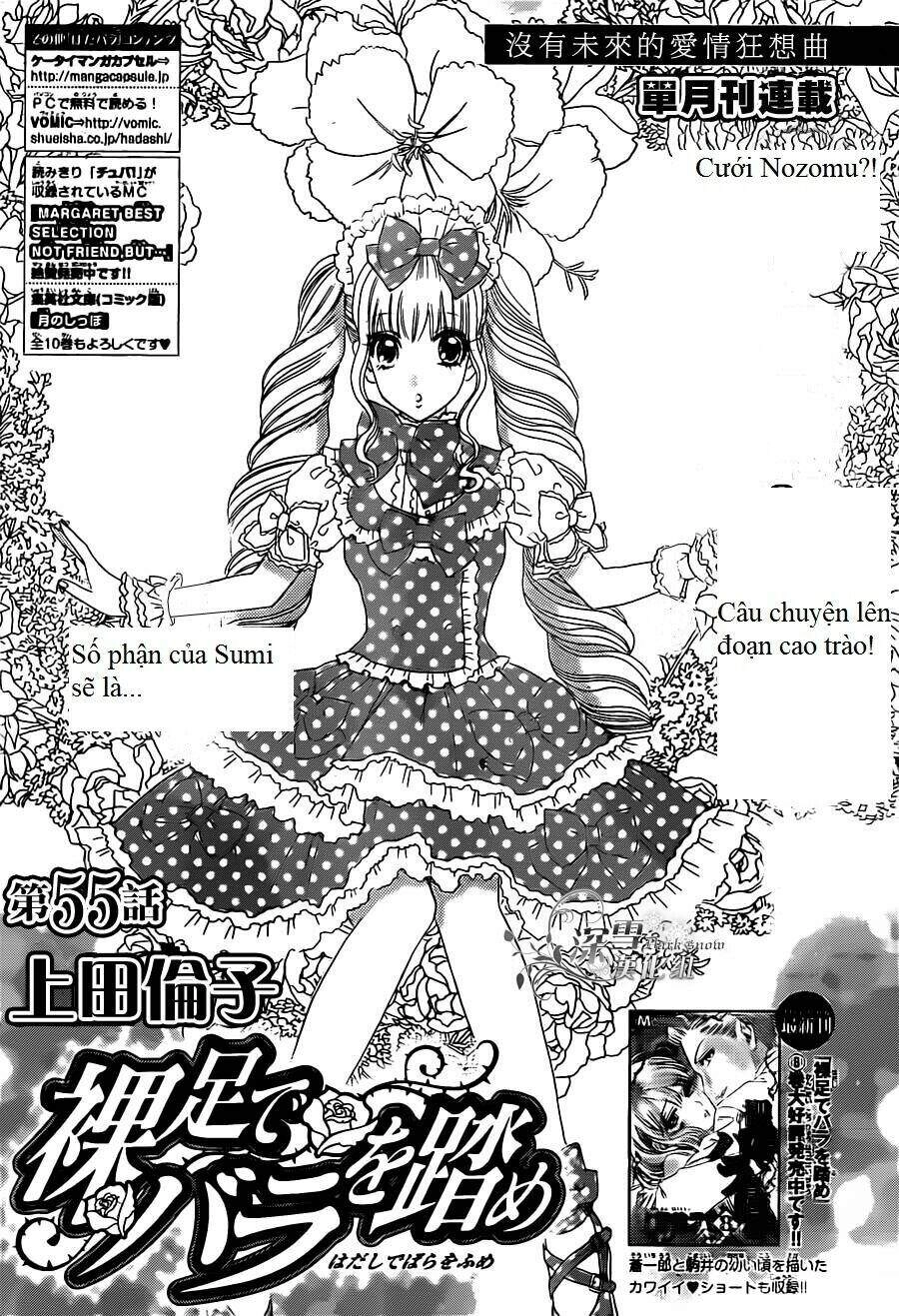 Hoa Hồng Đỏ Chapter 55 - 1