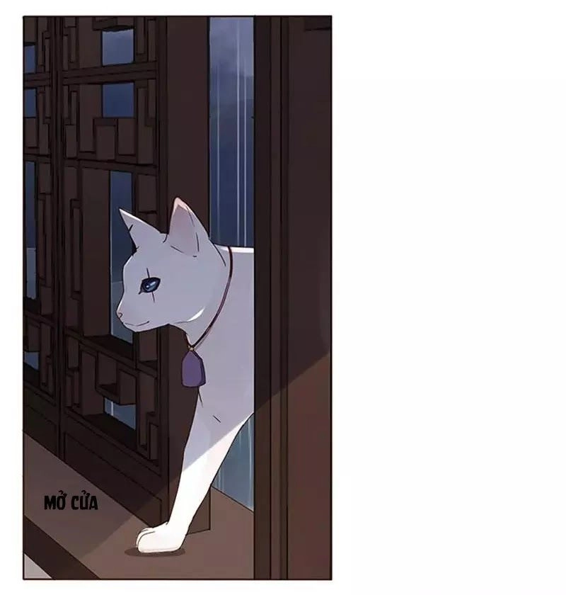 Đế Vương Trắc Chapter 150 - 8