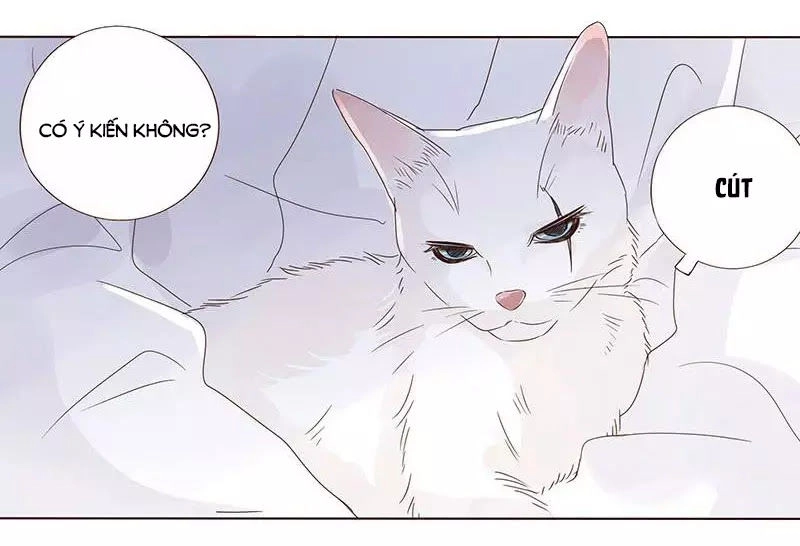 Đế Vương Trắc Chapter 150 - 28