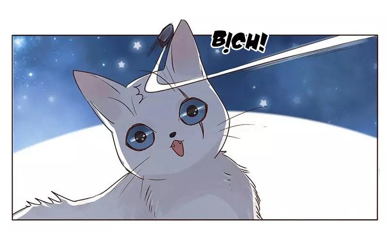 Đế Vương Trắc Chapter 152 - 14