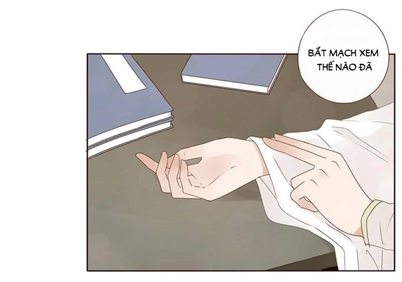 Đế Vương Trắc Chapter 181 - 13