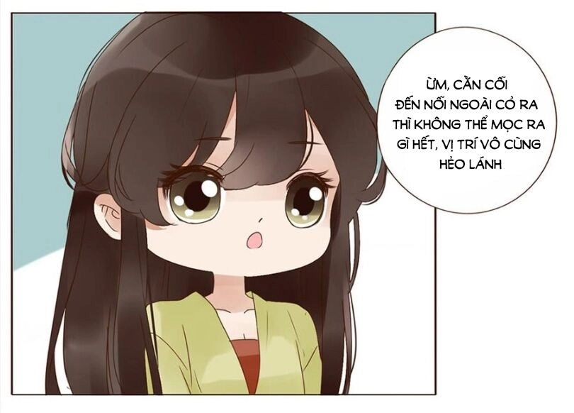 Đế Vương Trắc Chapter 202 - 47