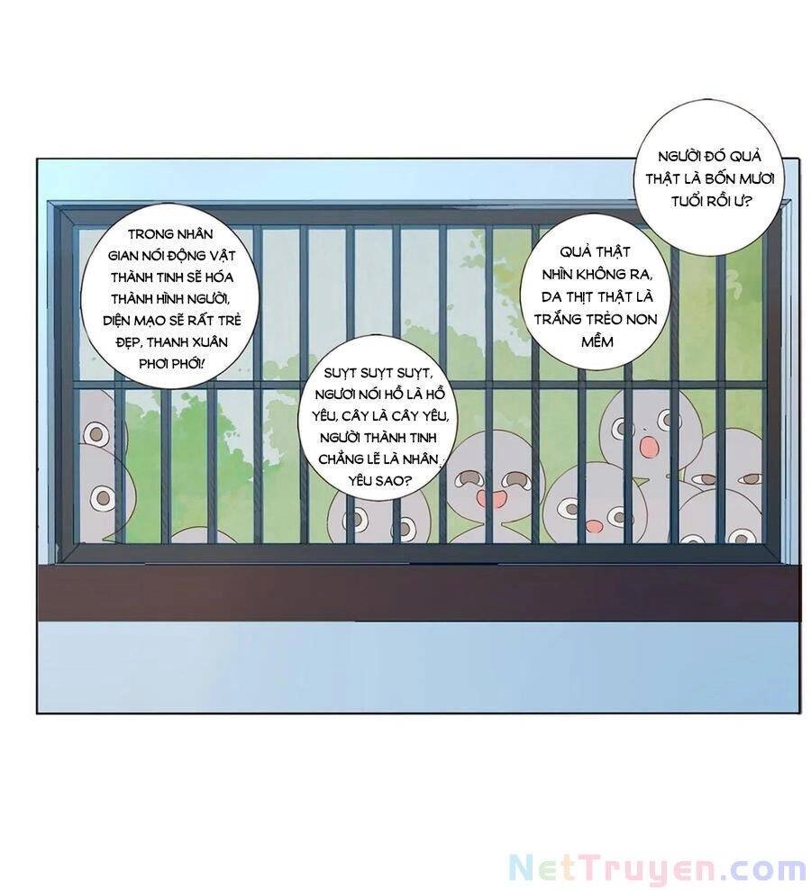 Đế Vương Trắc Chapter 232 - 33