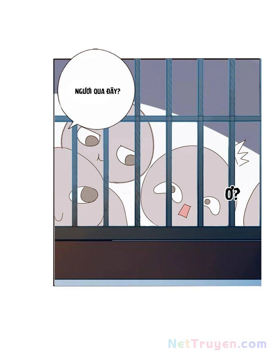 Đế Vương Trắc Chapter 232 - 35