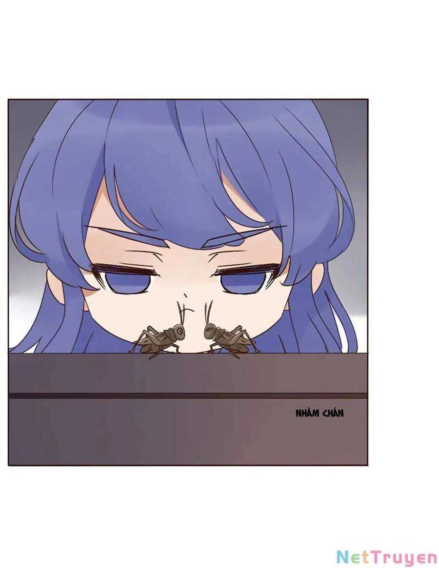 Đế Vương Trắc Chapter 253 - 3