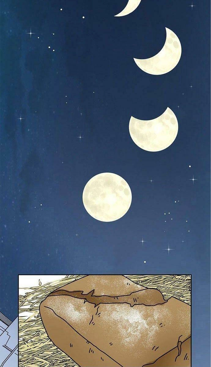 Tôi Trở Thành Đầu Bếp Của Long Vương Chapter 19 - 55