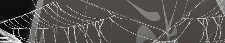 Cốt Binh Trở Lại Chapter 148 - 18