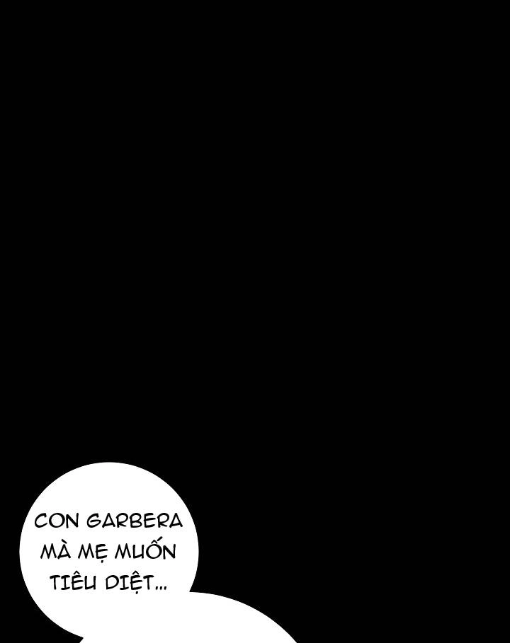 Cốt Binh Trở Lại Chapter 175 - 116