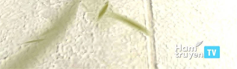 Thân Thể Của Ta Là Kiếm Chủng Chapter 107 - 29