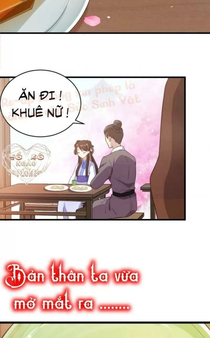 Thiều Quang Mạn Chapter 1 - 20