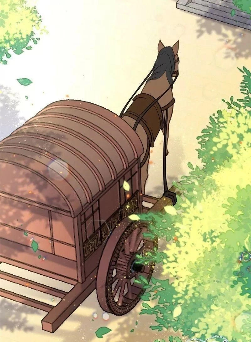 Thiều Quang Mạn Chapter 11 - 11