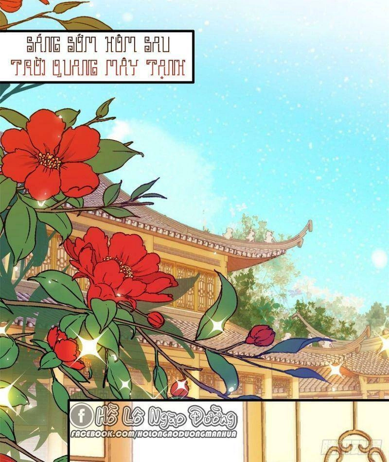 Thiều Quang Mạn Chapter 49 - 12