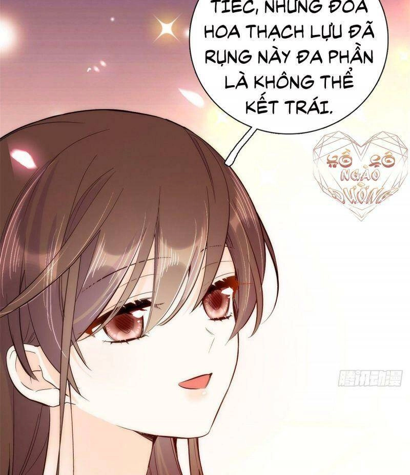 Thiều Quang Mạn Chapter 49 - 17