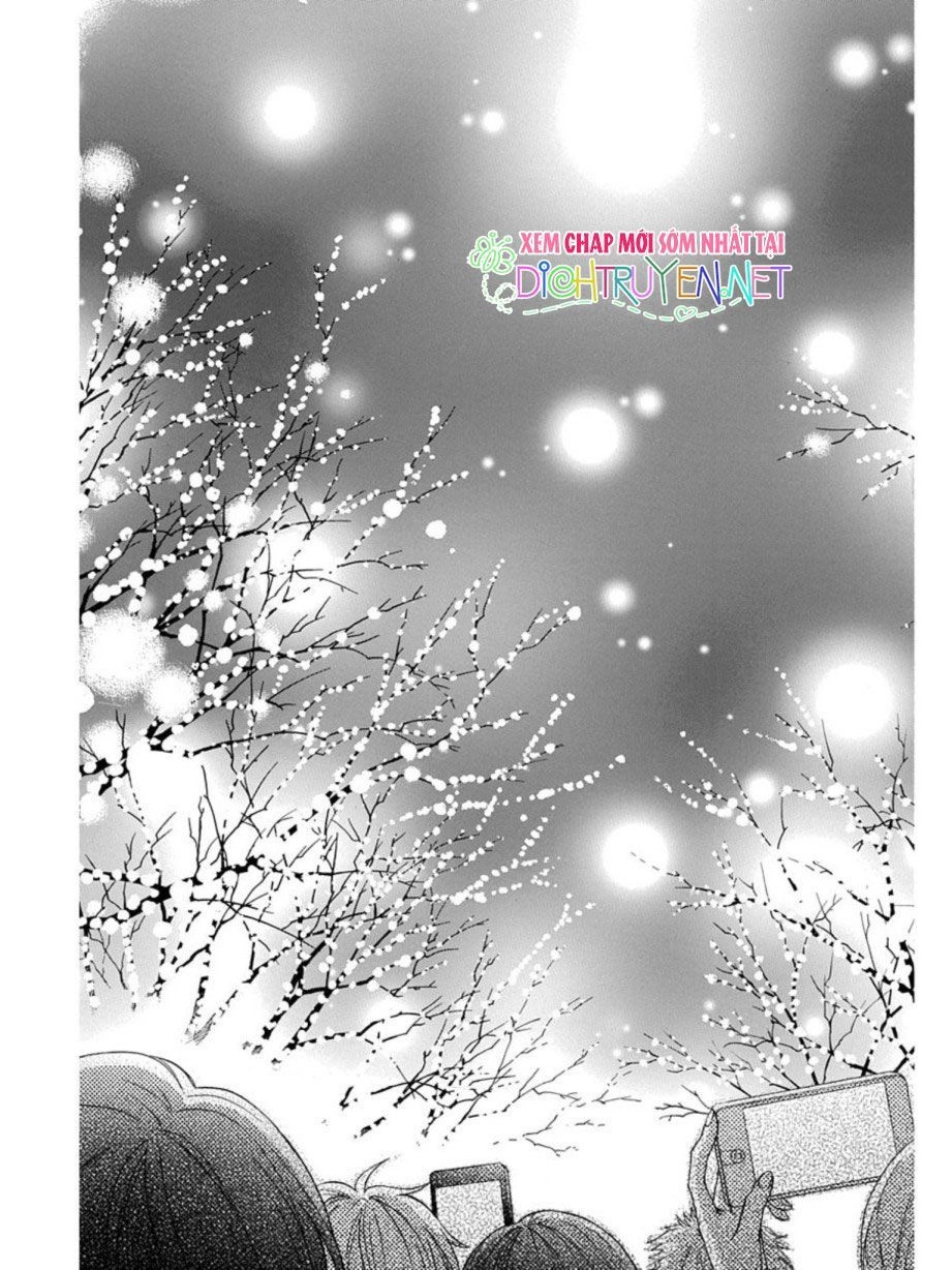 Kawaii Hito (Saitou Ken) Chapter 21 - 40