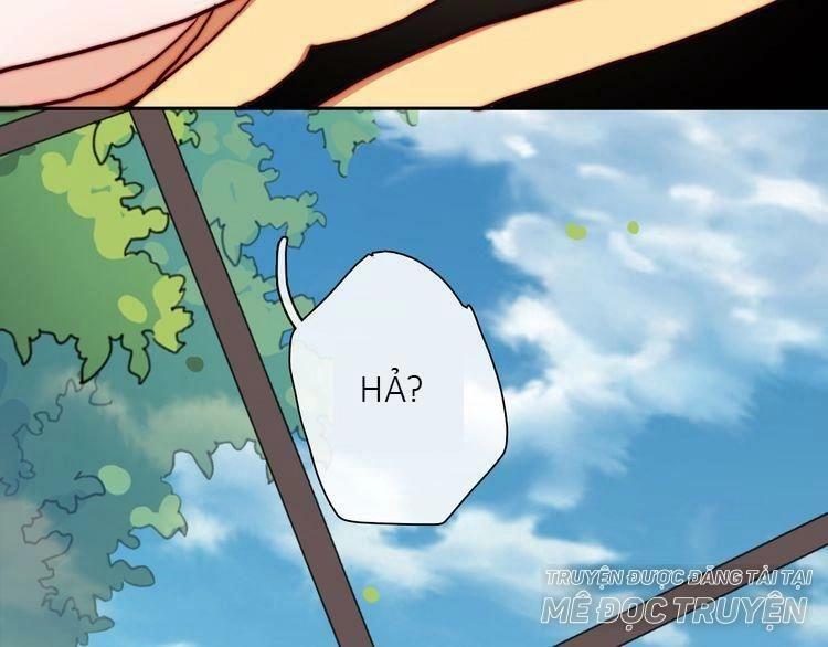 Trái Tim Băng Giá Chapter 24 - 81