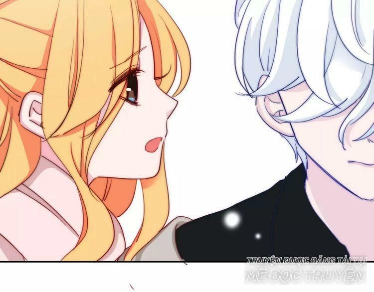 Trái Tim Băng Giá Chapter 35 - 51