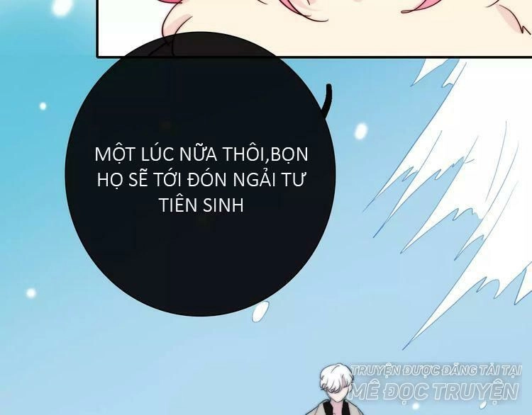 Trái Tim Băng Giá Chapter 35 - 66