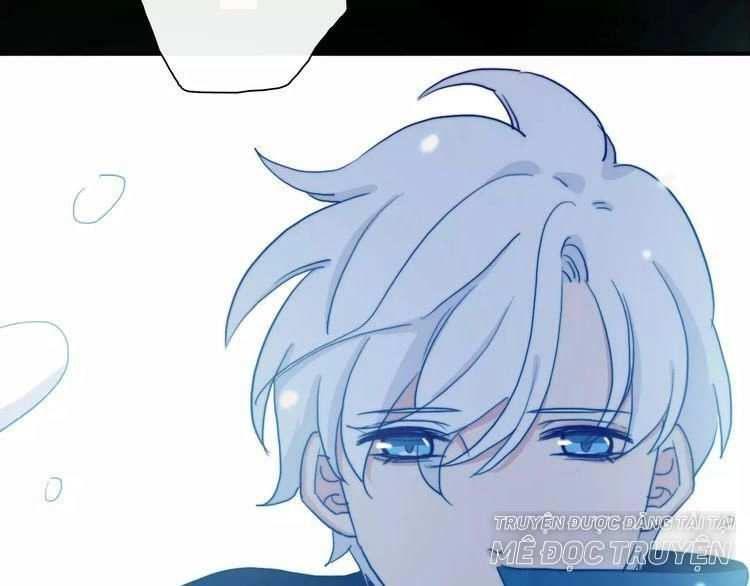 Trái Tim Băng Giá Chapter 36 - 36