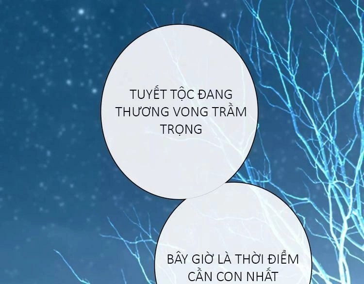 Trái Tim Băng Giá Chapter 36 - 43