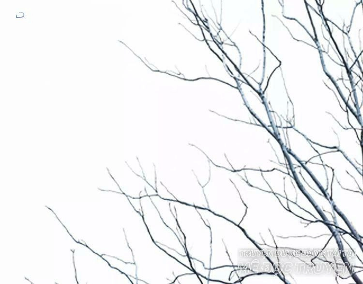 Trái Tim Băng Giá Chapter 36 - 71