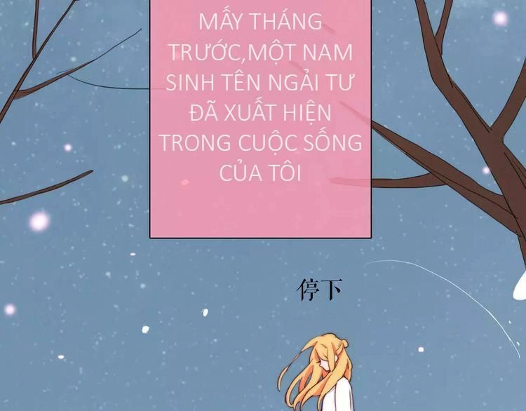 Trái Tim Băng Giá Chapter 37 - 33