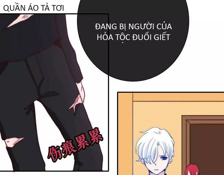 Trái Tim Băng Giá Chapter 40 - 15