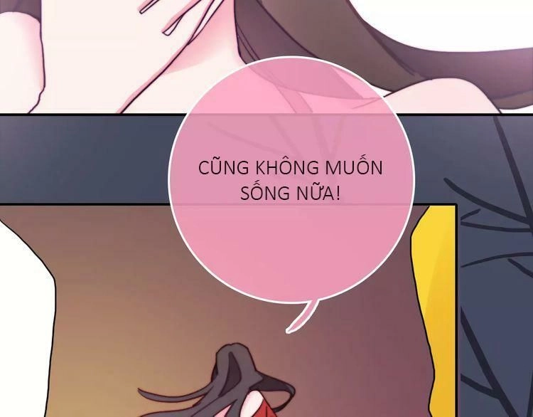 Trái Tim Băng Giá Chapter 41 - 24