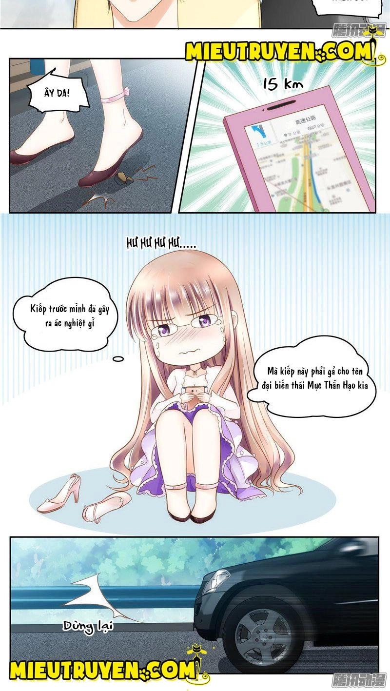 Vợ Yêu Cưới Trước Sủng Sau Chapter 9 - 6