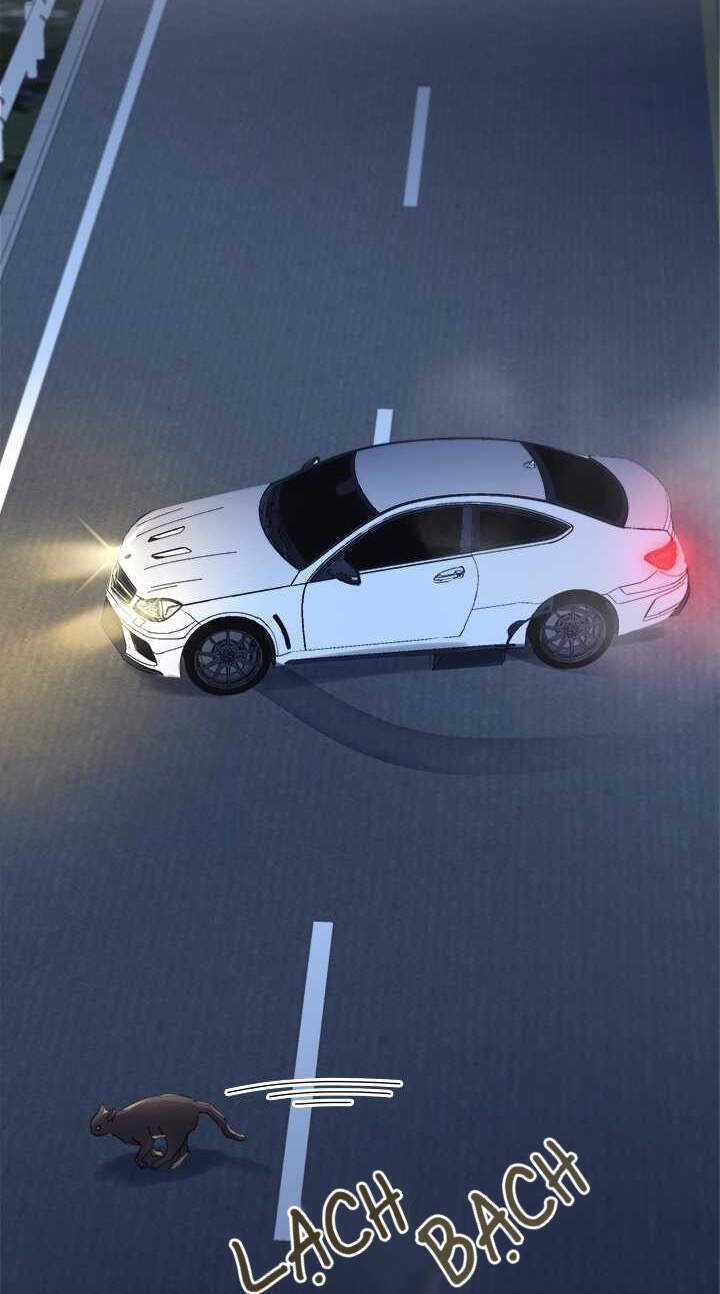 Tai Tiếng Thị Phi Chapter 66 - 43