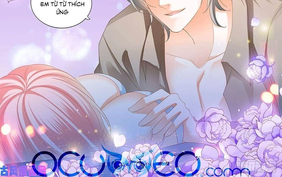 Cuồng Nhiệt Boss, Sủng Thê Xin Kiềm Chế Chapter 102 - 5