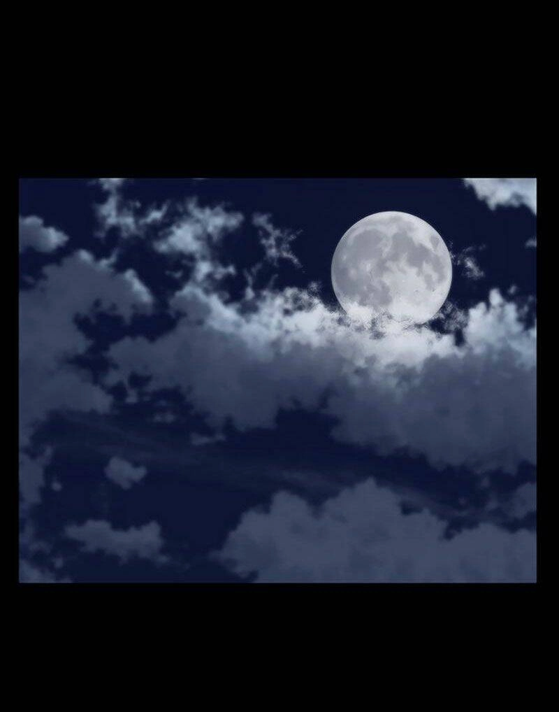 Npc Bắt Đầu Từ Kỹ Năng Lv.999 Chapter 1 - 24